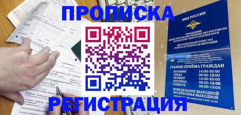 купить прописку в Шали